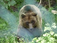 Bild: Spende f&uuml;r den B&auml;renpark