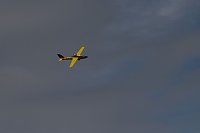 Bild: Flugtage bei Hain