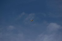 Bild: Flugtage bei Hain