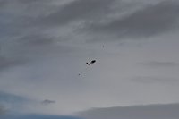 Bild: Flugtage bei Hain