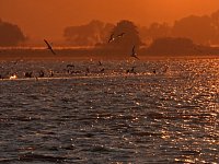 Bild: Abendstimmung am Stausee Kelbra