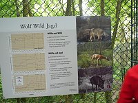 Bild: Ferienaktion Wolfsspur