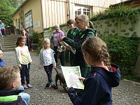 Bild: Ferienaktion Wolfsspur