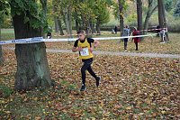Bild: 26. Stadtparklauf Sondershausen und...