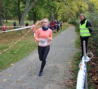 Bild: 26. Stadtparklauf Sondershausen und...