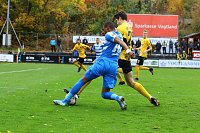 Bild: Wacker in Auerbach 