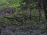 Bild: Heilst&auml;tten Beelitz