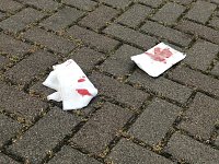Bild: Spurensuche in Sondershausen