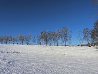 Winterliche Harzimpressionen Bild: Winterliche Harzimpressionen