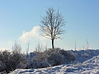 Winterliche Harzimpressionen Bild: Winterliche Harzimpressionen
