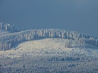 Winterliche Harzimpressionen Bild: Winterliche Harzimpressionen