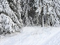 Winterliche Harzimpressionen Bild: Winterliche Harzimpressionen