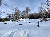 Ausflug zum Josephskreuz Bild: Ausflug zum Josephskreuz