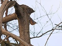 Ausflug zum Josephskreuz Bild: Ausflug zum Josephskreuz
