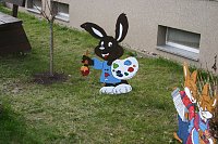 Asyl für Hasenfamilie Bild: Asyl für Hasenfamilie
