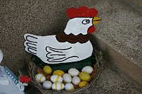 Asyl für Hasenfamilie Bild: Asyl für Hasenfamilie