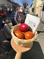 Bild: Gr&uuml;ne Osteraktion in Heilbad Heiligenstadt
