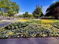BUGA Erfurt Bild: BUGA Erfurt