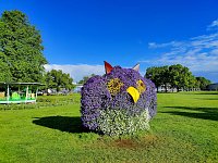 BUGA Erfurt Bild: BUGA Erfurt