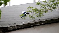 Wer ist hier der Jäger? Bild: Wer ist hier der Jäger?