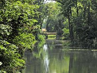 Bild: Im W&ouml;rlitzer Park