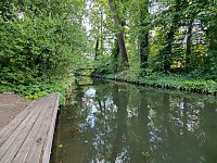 Bild: Im W&ouml;rlitzer Park