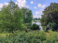 Bild: Im W&ouml;rlitzer Park