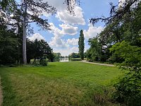 Bild: Im W&ouml;rlitzer Park