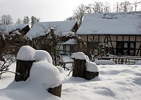Bild: Wintergr&uuml;&szlig;e
