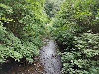 Bild: Vom M&auml;gdesprung zum Waldgagsthof