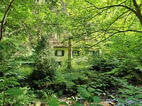 Bild: Vom M&auml;gdesprung zum Waldgagsthof