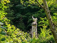 Bild: Vom M&auml;gdesprung zum Waldgagsthof