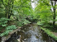 Bild: Vom M&auml;gdesprung zum Waldgagsthof