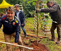 Bild: Baumpflanzung im Harz v. links Patrick Kurth- FDP-Direktkandidat; Kreischef FDP Nordhausen Claus-Peter Ro&szlig;berg (Mitte)