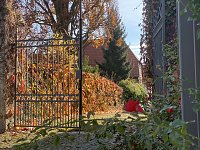 Bild: Herbstimpressionen