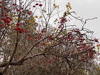 Bild: Herbstimpressionen