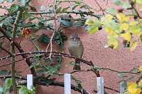 Bild: Herbstimpressionen