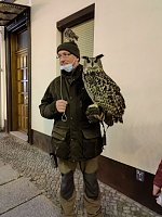 Bild: Auf dem Quedlinburger Weihnachtsmarkt