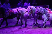 Bild: Zirkus in Heiligenstadt