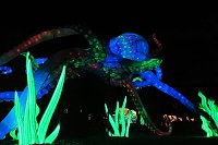 Bild: Peter Blei in den magischen Lichterwelten