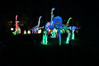 Bild: Peter Blei in den magischen Lichterwelten