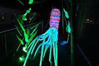 Bild: Peter Blei in den magischen Lichterwelten