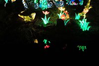 Bild: Peter Blei in den magischen Lichterwelten