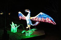 Bild: Peter Blei in den magischen Lichterwelten