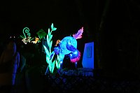 Bild: Peter Blei in den magischen Lichterwelten