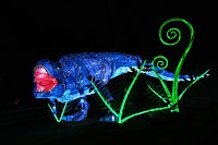Bild: Peter Blei in den magischen Lichterwelten