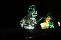 Bild: Peter Blei in den magischen Lichterwelten