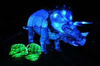 Bild: Peter Blei in den magischen Lichterwelten