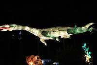 Bild: Peter Blei in den magischen Lichterwelten