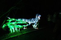 Bild: Peter Blei in den magischen Lichterwelten